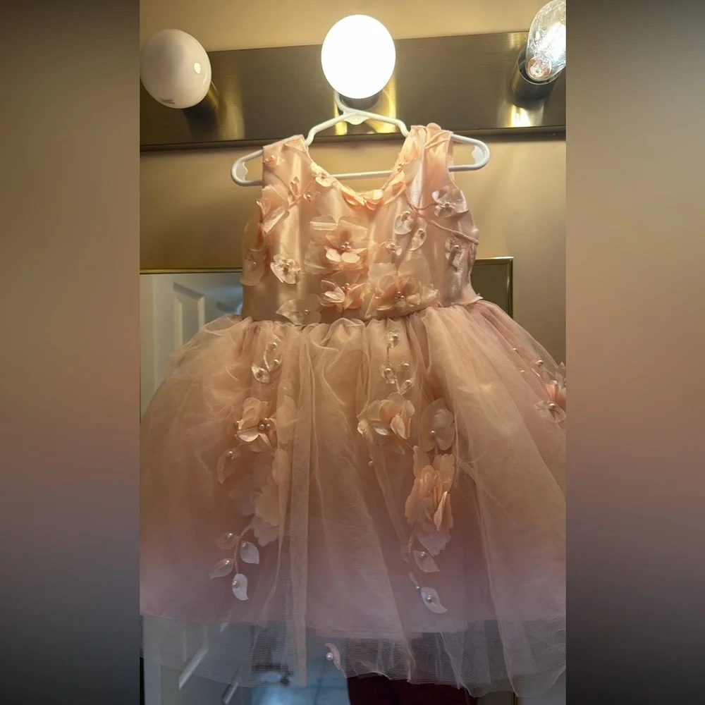 Girls Size 2 Blush Pink Floral Applique Tulle Party Dress w/ Satin Bow